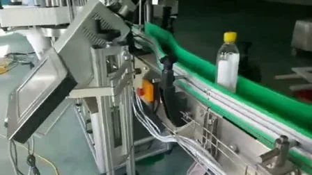 Macchina per marcatura laser CO2 Leadjet da 30 W per data di scadenza di bottiglie in pet e sacchetti di plastica